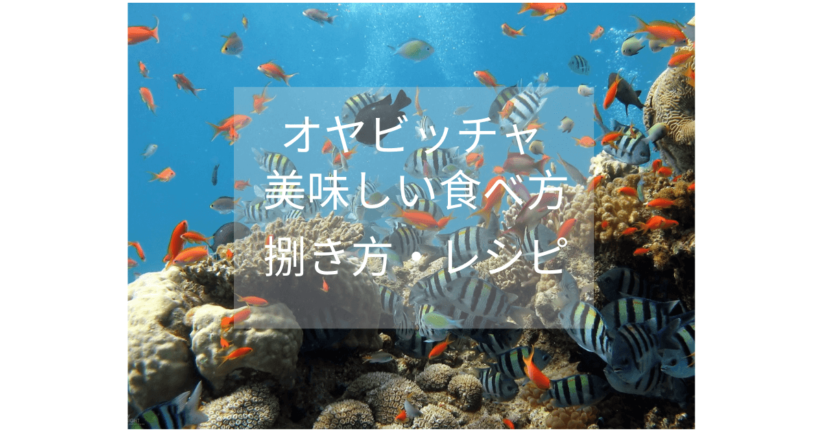 オヤビッチャの美味しい食べ方は さばき方と料理のレシピをご紹介 Inbigo