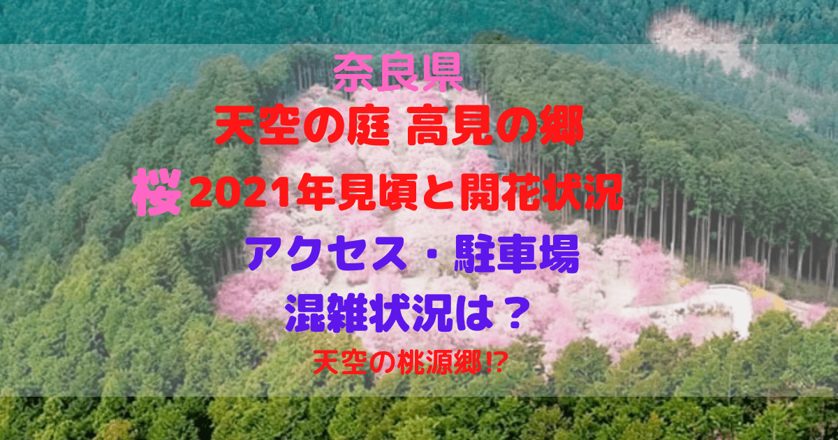 天空の桃源郷 奈良県 天空の庭 高見の郷 桜21年見頃と開花状況 アクセス 駐車場や混雑状況は Inbigo