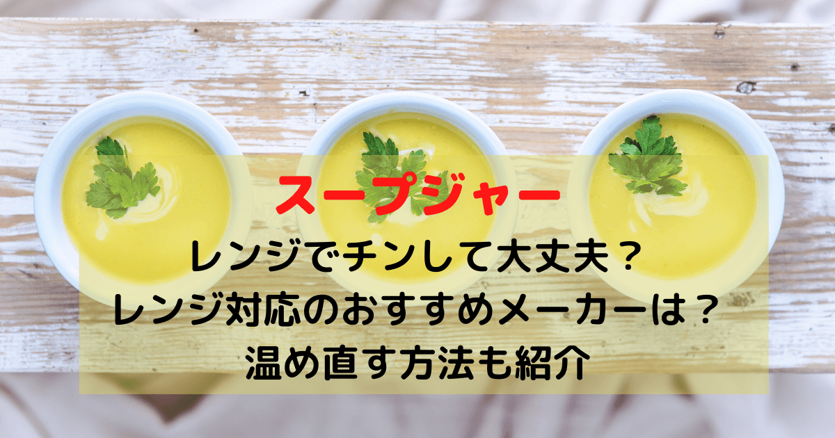 スープジャーはレンジでチンして大丈夫？レンジ対応のおすすめメーカーは？温め直す方法も紹介 | Inbigo!