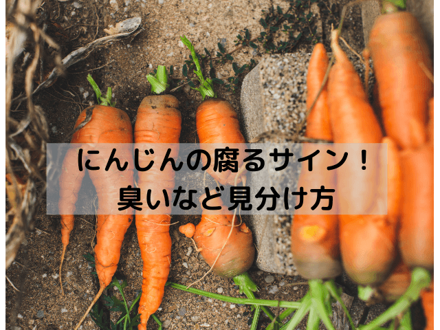 人参のぬめりは食べられる 白いヌメヌメの正体 黒い変色の原因に臭い等腐るサインを解説 Inbigo