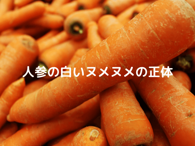 人参のぬめりは食べられる 白いヌメヌメの正体 黒い変色の原因に臭い等腐るサインを解説 Inbigo