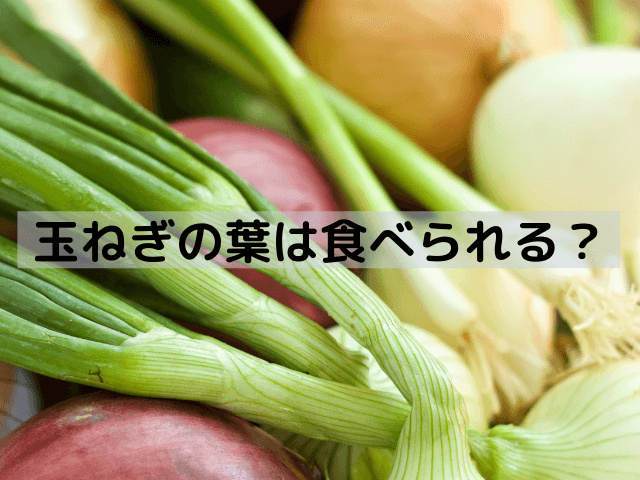 玉ねぎの葉は食べられる？