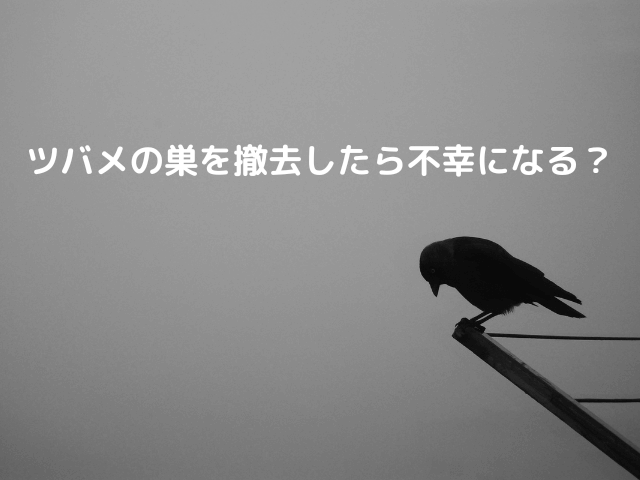 ツバメの巣を撤去したら不幸になる？