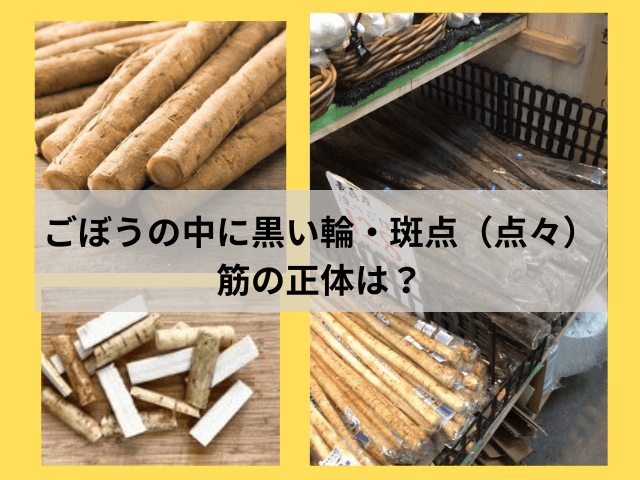 ごぼうの中に黒い輪・斑点（点々）・筋の正体は？