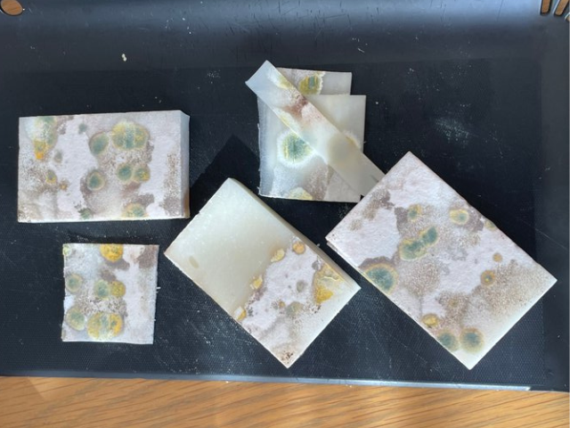 餅のカビの色別食中毒・発がん性の危険性